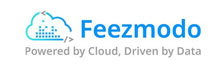 Feezmodo Consulting