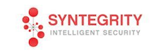Syntegrity Networks