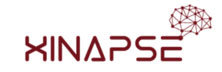 Xinapse