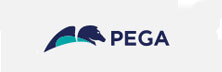 Pegasystems