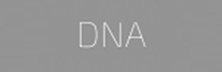 Data & Analytics