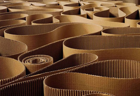 Digitization Is The Key To Development For Paper And Packaging Industry