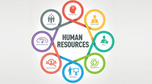 Human Resource