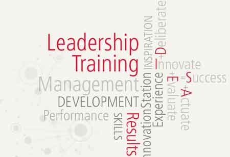 Leadership Development Program: What Are the Skills Required?